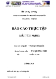 BÁO CÁO THỰC TẬP GIẢI TÍCH MẠNG