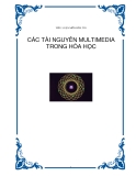 Tiểu luận môn Hóa Tin “Các tài nguyên Multimedia trong Hoá học”