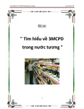 3-MCPD trong nước tương "