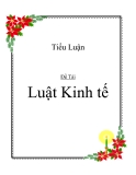 Tiểu luận: Luật Kinh tế