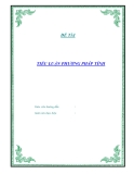 Tiểu luận phương pháp tính