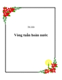 Các vòng tuần hoàn nước