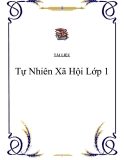 Tự Nhiên Xã Hội Lớp 1