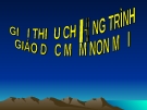 Chương trình GDMN mới