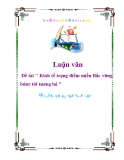 Đề tài " Kinh tế trọng điểm miền Bắc vững bứơc tới tương lai "