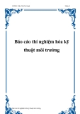 Báo cáo thí nghiệm hóa kỹ thuật môi trường - GVHD: Trần Thị Phi Oanh