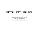 Báo cáo đề tài "Chất phụ gia Etyl maltol"