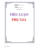 Tiểu luận: Phụ gia