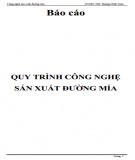 Báo cáo: Quy trình công nghệ sản xuất đường mía