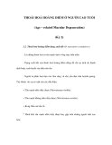 THOÁI HOÁ HOÀNG ĐIỂM Ở NGƯỜI CAO TUỔI (Kỳ 2)