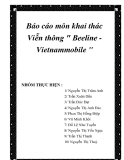 Báo cáo môn khai thác Viễn thông " Beeline - Vietnammobile "