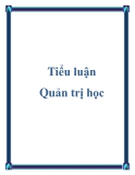 Tiểu luận quản trị học