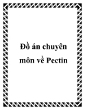 Đồ án chuyên môn về Pectin