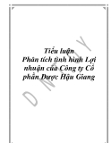 Đề tài " Phân tích tình hình Lợi nhuận của Công ty Cổ phần Dược Hậu Giang "