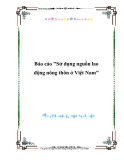 Báo cáo "Sử dụng nguồn lao động nông thôn ở Việt Nam"