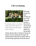 Chớ coi thường 