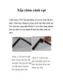 Xếp chim cánh cụt  