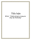 Tiểu luận "Chính sách giá cả trong các công việc Marketing"