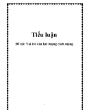 Đề tài: Vai trò của lực lượng cách mạng