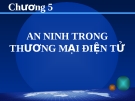 BÀI GIẢNG THƯƠNG MẠI ĐIỆN TỬ - CHƯƠNG 5 AN NINH TRONG THƯƠNG MẠI ĐIỆN TỬ