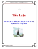 Tiểu luận: Bán phá giá và chống bán phá giá cá Ba sa - Vụ kiện cá ba sa ở Việt Nam