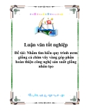 Luận văn tốt nghiệp: Nhằm tìm hiểu quy trình ươm giống cá chim vây vàng góp phần hoàn thiện công nghệ sản xuất giống nhân tạo