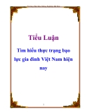 Tiểu luận: Tìm hiểu thực trạng bạo lực gia đình Việt Nam hiện nay