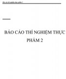 Báo cáo thí nghiệm thực phẩm 2