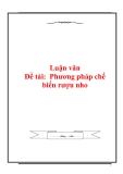 Luận văn - Phương pháp chế biến rượu nho