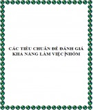 Các tiêu chuẩn để đánh giá khả năng làm việc nhóm