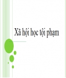 Đề cương ôn tập Xã hội học tội phạm