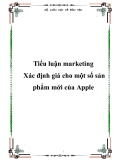 Tiểu luận marketing - Xác định giá cho một số sản phẩm mới của Apple