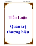 Tiểu luận Quản tị thương hiệu: Tái định vị thương hiệu sản phẩm Kotex Việt Nam