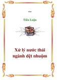 Tiểu luận: Xử lý nước thải ngành dệt nhuộm