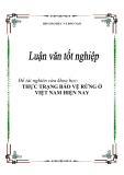 Đề tài nghiên cứa khoa học: Thực trạng bảo vệ rừng ở Việt Nam hiện nay