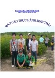 Báo cáo thực hành sinh thái: Khảo sát hệ sinh thái rừng ngập mặn khu dự trữ sinh quyển Cần Giờ