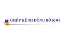 Chuẩn ghép kênh SDH