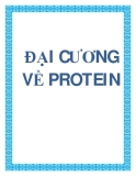 ĐẠI CƯƠNG VỀ PROTEIN