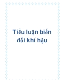 Tiểu luận biến đổi khí hậu