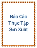 Báo Cáo Thực Tập Sản Xuất