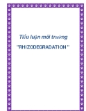 Tiểu luận môi trường " RHIZODEGRADATION "