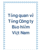 Tổng quan về Tổng Công ty Bảo hiểm Việt Nam