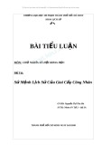 Bài tiểu luận môn Chủ nghĩa xã hội khoa học: Sứ mệnh lịch sử của giai cấp công nhân