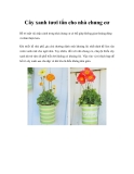 Cây xanh tươi tắn cho nhà chung cư  
