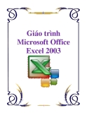 Giáo trình Microsoft Office Excel 2003