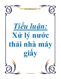 Tiểu luận: xử lý nước thải nhà máy giấy