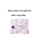Điều trị bệnh viêm phổi mắc phải ở cộng đồng 