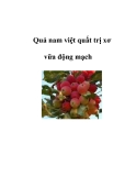 Quả nam việt quất trị xơ vữa động mạch 