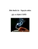 Hút thuốc lá – Nguyên nhân gây ra bệnh COPD   