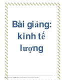 Bài giảng về kinh tế lượng cho sinh viên ngành kinh tế